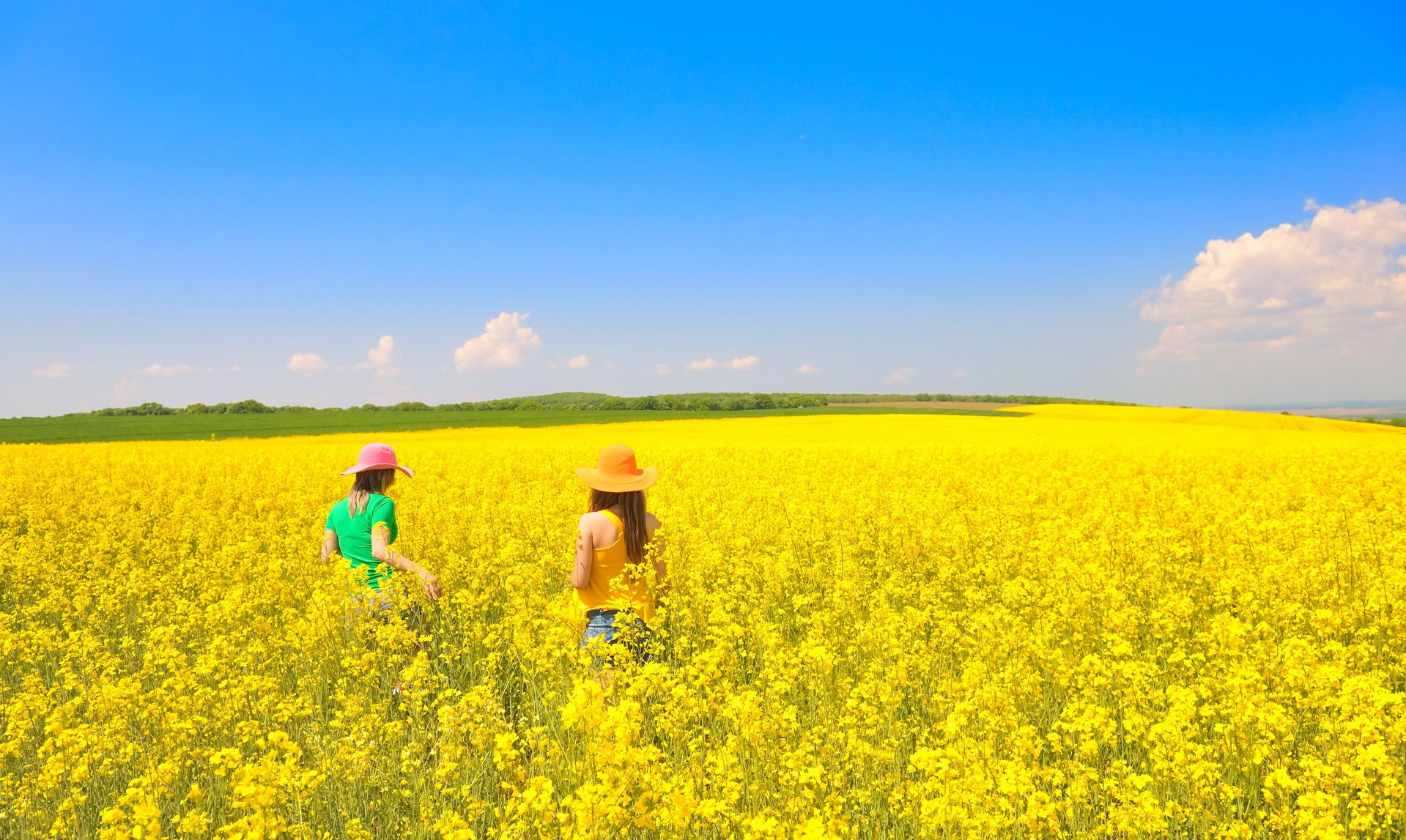 background-image